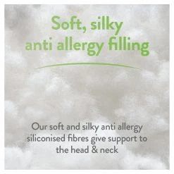 Slumberdown Allergy Protection Medium Firm Pillow 2 Pack Bedding -Bedding Sales 2022 unnamed file 2701