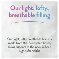 Slumberdown Climate Comfort Control Medium Pillow 2 Pack Bedding -Bedding Sales 2022 unnamed file 2868