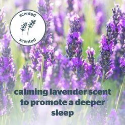 Silentnight Wellbeing Lavender Scented Pillow Bedding -Bedding Sales 2022 unnamed file 3022